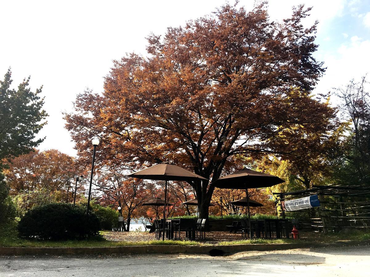 Corea Condo Gyeongju Exterior foto