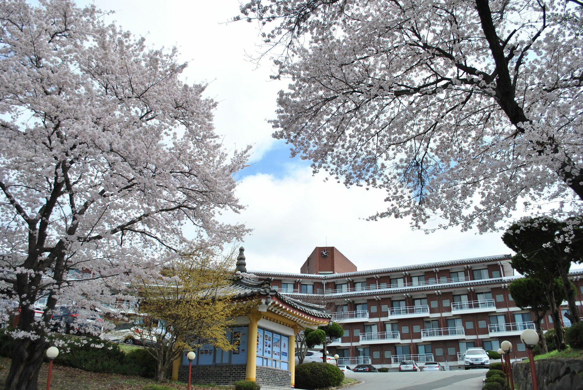 Corea Condo Gyeongju Exterior foto